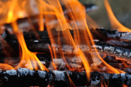 red tongues of fire on wooden logs