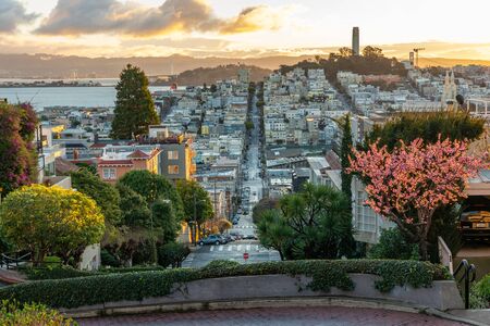 Sakura blossoms on the crookedest street in the world Lombard Street. San Francisco is in early morning light.の写真素材