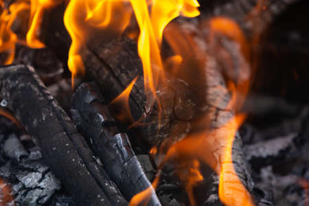 Yellow tongues of flame are dancing on wooden logsの写真素材