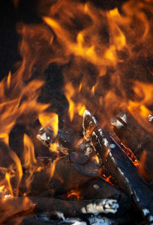 Yellow tongues of flame are dancing on wooden logsの写真素材