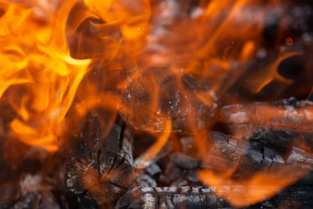 Yellow tongues of flame are dancing on wooden logsの写真素材