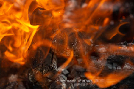 Yellow tongues of flame are dancing on wooden logsの写真素材