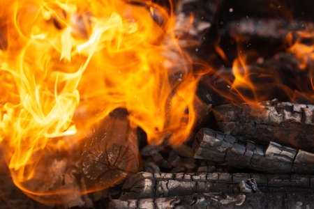 Yellow tongues of flame are dancing on wooden logsの写真素材