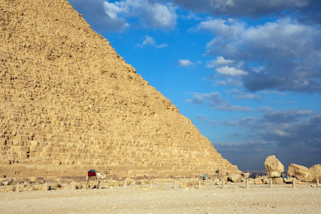 Camel near pyramid of Khafre or of Chephren the second tallest and second largest of the 3 Ancient...