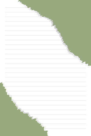 Torn paper with space for your own text. Vector illustration.のイラスト素材