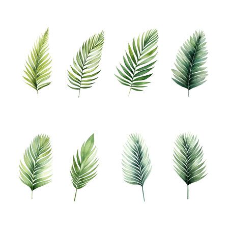 Set of tropical watercolor areca palm isolated white backgroundのイラスト素材