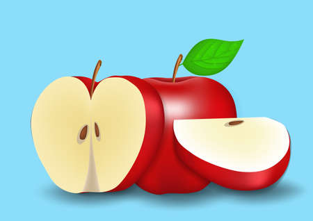 Vector realistic apple isolated. Vector illustrationsのイラスト素材