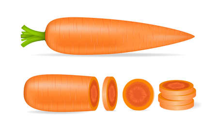 Carrots and slices isolated. Vector illustration.のイラスト素材