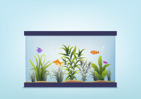 beautiful fish in aquarium with water plant. Vector illustrationのイラスト素材