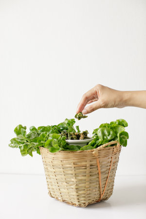 a lady picking a fried brazilian spinach from a basket of fresh brazilian spinach