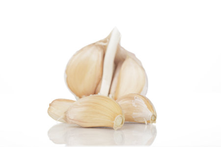 a garlic isolated on white backgroundの写真素材