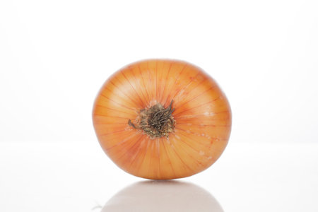 a yellow onion isolated on white backgroundの写真素材