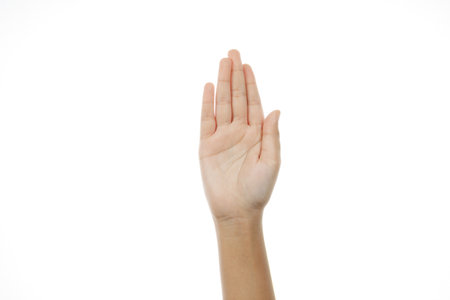 man hand isolated on white background