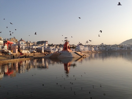 A shot of a flock of birds flying over Pushkar lake in Rajasthan India.