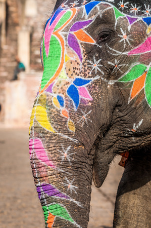 A close up shot of an elephant with paintings all around its face and trunk during an elephant ride in Amber Fort in Jaipur, India.の写真素材