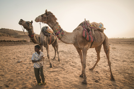 Ajmer, India : 17th February, 2015 - A shot of a young indian boy guarding his two camels at a...