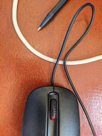 top view photo of computer mouse on table