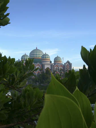A large Islamic building from a distance is visible through the leaves