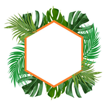 fresh green tropical floral decorative frame vectorのイラスト素材