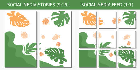 Collection of trendy abstract aesthetic green floral background vector illustrations. Social media...