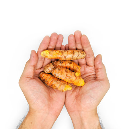 Fresh turmeric or temulawak isolated on a white background. Also known as Kunir or Kunyit in...