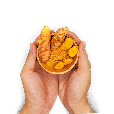 Fresh turmeric or temulawak isolated on a white background. Also known as "Kunir" or "Kunyit" in Indonesian. Suitable for herbal products with turmeric-based ingredientsの写真素材