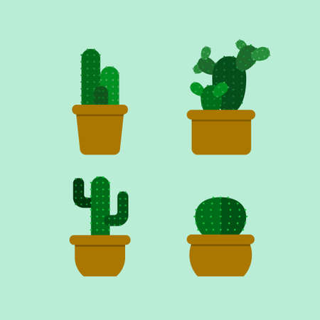 Set of succulent plants vector designのイラスト素材
