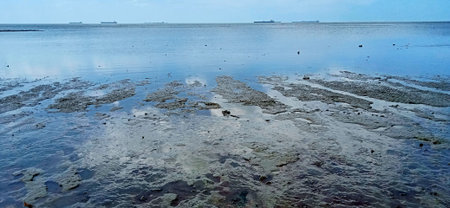 A coastal scene with muddy tidal flats in the foreground and large cargo ships visible on the calm...