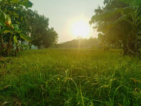 Beautiful Nature