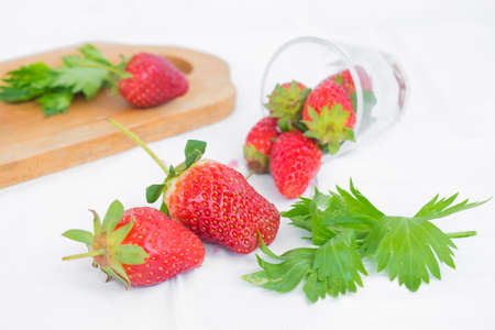 Strawberries with leaves isolated on a white background.