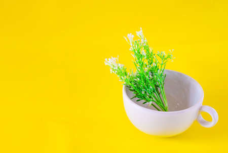 Beautiful ceramic made traditionally by local peopleの写真素材