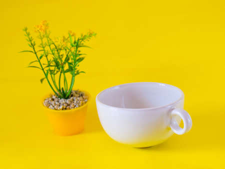 Close-up photo of a white ceramic mug on a yellow background