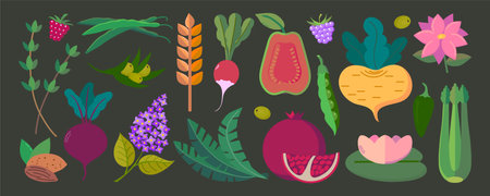 Vector set of herbs, nuts, spices, fruits and berries, vegetables, flowers icons cliparts isolated illustrationsのイラスト素材