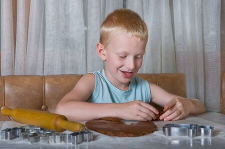 young boy baking gingerbread cookiesの写真素材