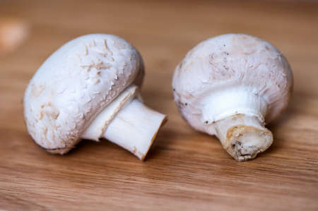 Two mushrooms on kitchen tableの写真素材