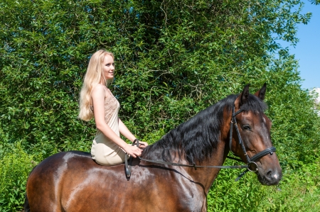 Young pretty girl on horseback in the forestの写真素材