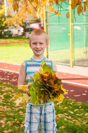 Adorable boy smiling and holding autumn leaves on school yardの写真素材