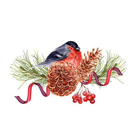 Christmas composition with red bullfinch bird perched on pine tree with ribbons, pine cones and rowan berries. Hand drawn watercolor illustration isolated on white background. Winter design elementの写真素材
