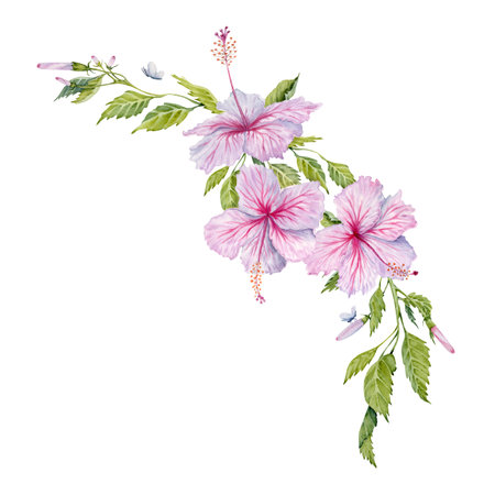Watercolor pink hibiscus flowers with green leaves frame. Hand painted floral composition isolated on white background. Hibiscus tea, syrup, cosmetics, beauty, fashion prints, designs, cards, bordersの写真素材