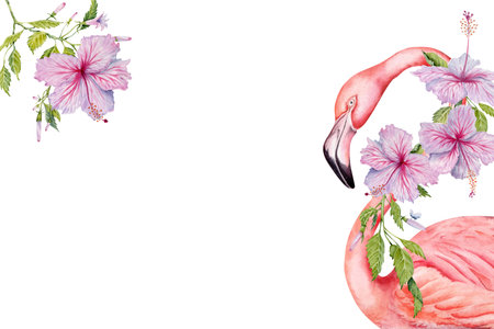 Flamingo bird and pink hibiscus flowers with elegant botanical leaves and buds exotic greeting card design. Hand drawn watercolor template for cards, prints, invitations with copy space for your text.の写真素材