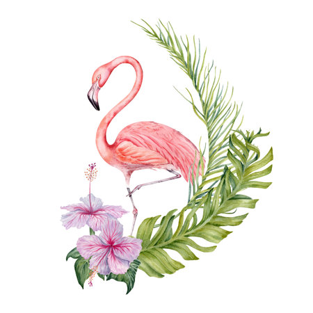 Flamingo and exotic tropical green leaves composition. Watercolor isolated on white background. Natural botanical illustration withpalm, banana and hibiscus flower for card designs, prints, invitationの写真素材