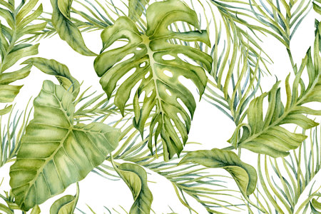 Tropical seamless pattern. Exotic green banana, monstera and palm leaves composition. Hand drawn watercolor on white background. Natural botanical illustration for card designs, prints, wallpapersの写真素材