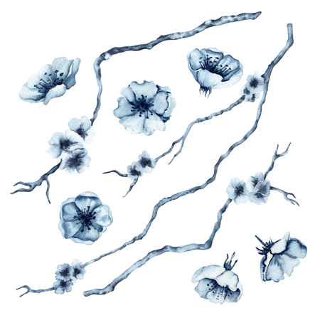 Cherry blossom springtime festival watercolor illustration set Hand drawn Japanese sakura painting isolated on white background. Indigo Blue monochrome branch for celebration and greeting card designsの写真素材