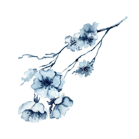 Cherry blossom watercolor illustration. Hand drawn South Korean floral element isolated on white background. Indigo Blue monochrome flowers on branch for textile patterns and beauty product packagingの写真素材
