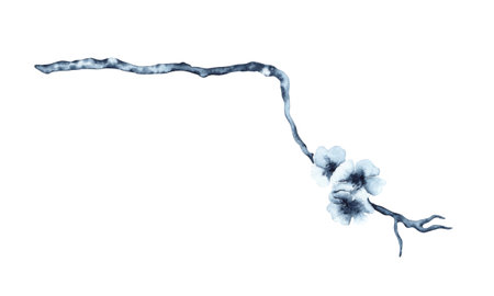 Cherry blossom springtime festival watercolor illustration. Hand drawn Japanese sakura painting isolated on white background. Indigo Blue monochrome branch for celebration cardsの写真素材