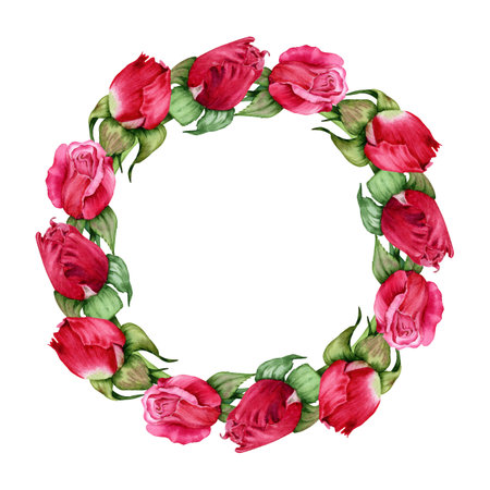 Red roses copy space wreath. Flower buds copy space round frame. Hand drawn watercolor illustration isolated on white background. Floral Valentine's cards, birthday or wedding invitations, prints.の写真素材