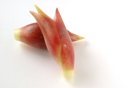 Vegetable in Japanの写真素材