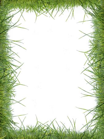 Frame of Grass