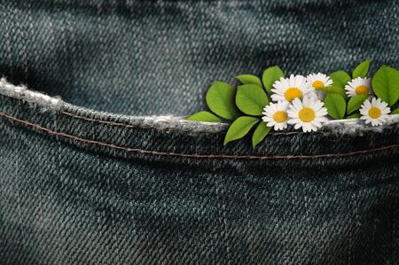 Flower that blooms in pocket of jeansの写真素材
