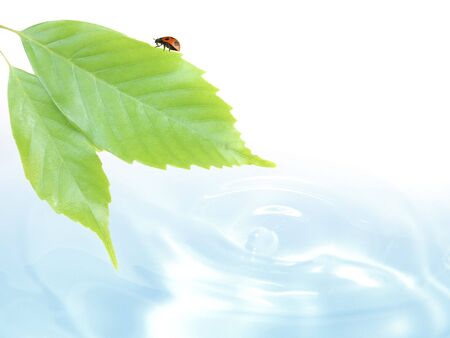 Eco-image made from CG synthesisの写真素材